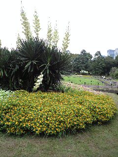 c0013438_15304466.jpg