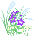 a0216142_23134766.gif