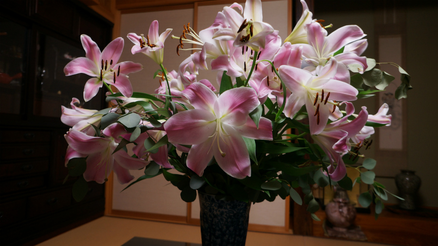 a0274944_20513844.jpg