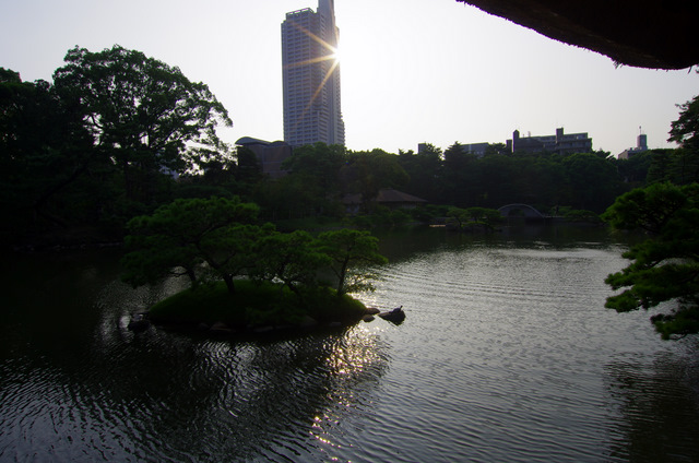 d0186245_15675.jpg