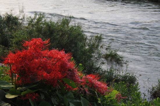 c0093046_1182043.jpg