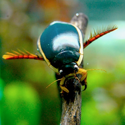 c0109850_5231971.jpg