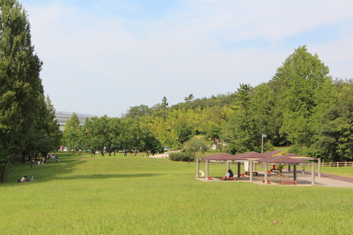 f0245650_11444552.jpg