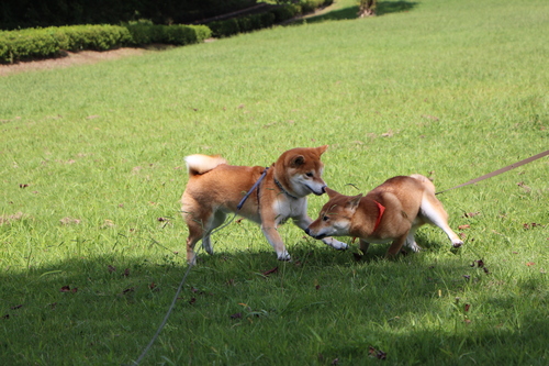 f0245650_11464879.jpg