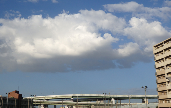 d0218056_1956117.jpg