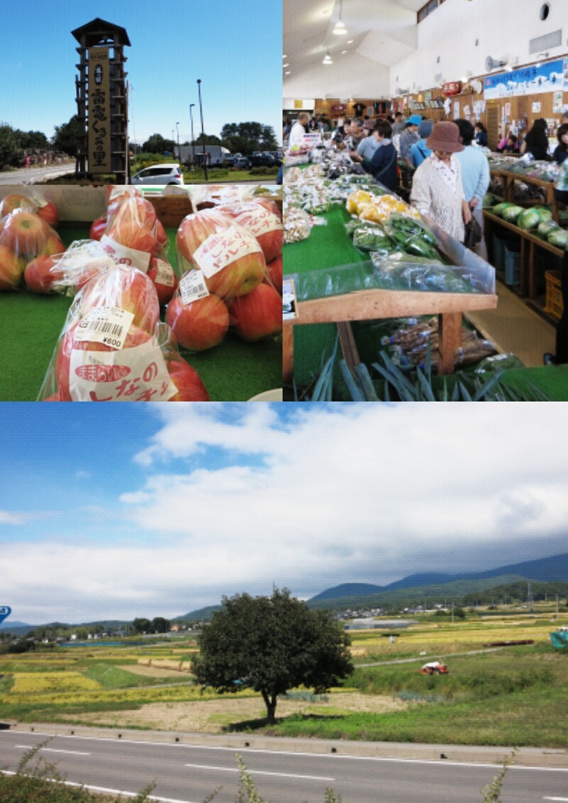 黄金色の田んぼ~秋風に稲穂が揺れる風景~_f0236260_232727100.jpg
