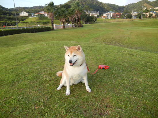 ’13,9,24(火)エクササイズは家事で~!_f0060461_11172834.jpg