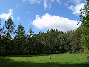 c0197671_1710352.jpg