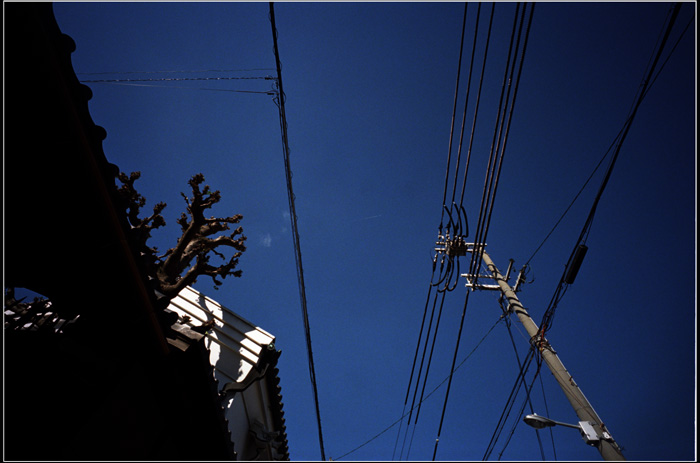 463.15 ホロゴンデイ108「2010年11月27日大阪玉造の下町はその日なぜか晴れていた」15  招福之助さん_c0168172_11362612.jpg