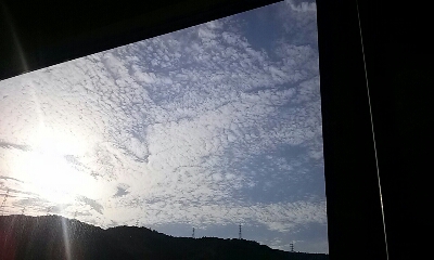 c0184472_7301018.jpg
