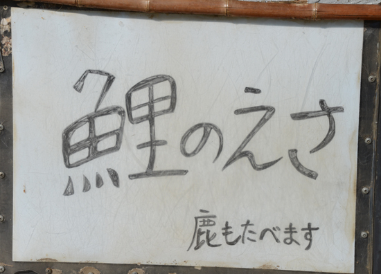 シカが歩道を歩く奈良の日常~地元で当たり前のことが外の人にとってはおもしろい_e0171573_1918934.jpg