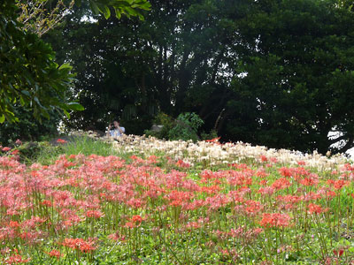 c0152779_1562553.jpg