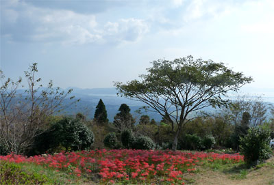 c0152779_156636.jpg