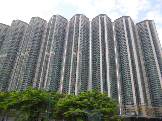 d0160880_10391567.jpg