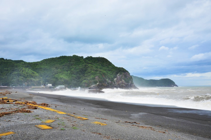 熊野の旅　鬼ヶ城遊歩道_d0045383_12252111.jpg