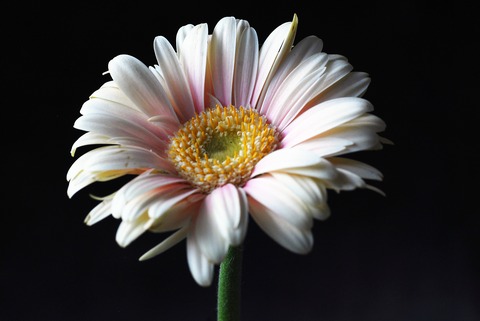 a0240085_41958.jpg