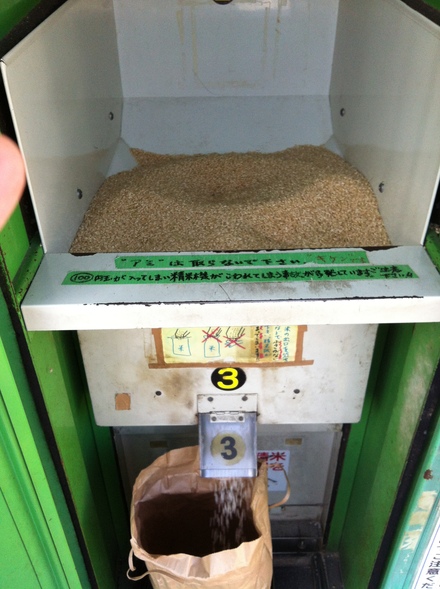 こおりもち 日進市 ブリットボウル_c0128487_21334856.jpg