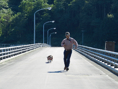 f0205887_21232657.gif