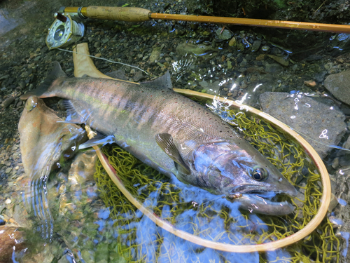 f0166390_22321853.jpg