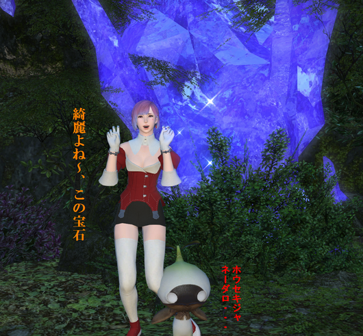b0296791_2011966.png