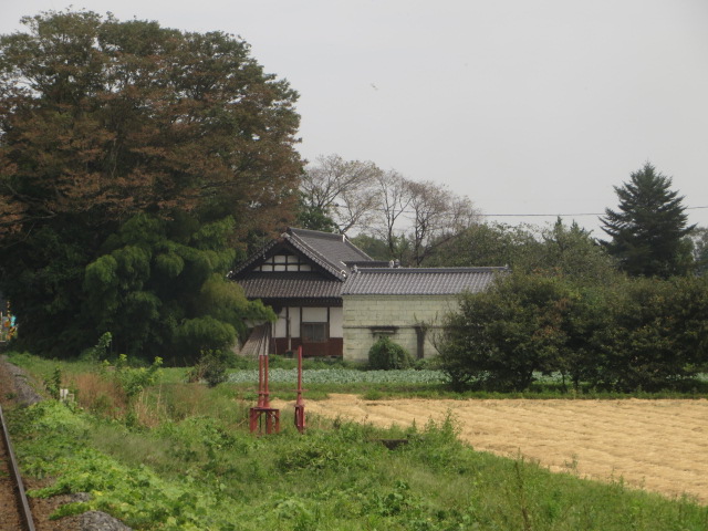a0193698_93364.jpg