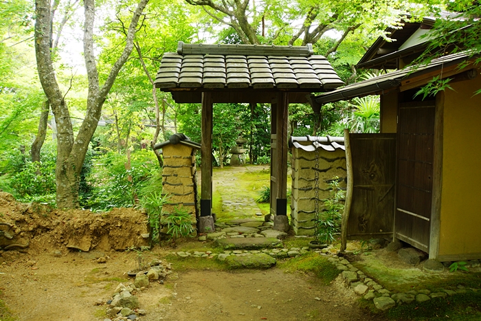 小田原 老欅荘 エーデルワイスphoto
