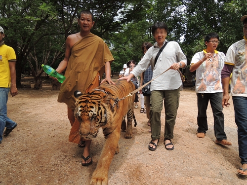 タイ旅行　その２_e0090501_21351893.jpg