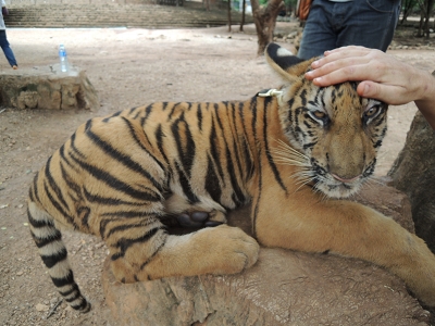 タイ旅行　その２_e0090501_21352225.jpg