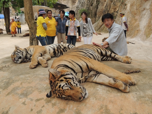 タイ旅行　その２_e0090501_22291390.jpg