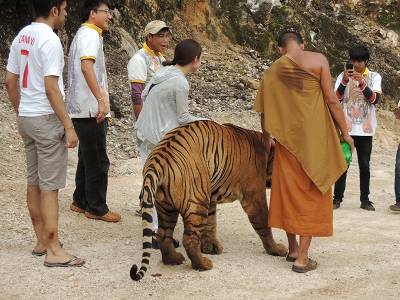 タイ旅行　その２_e0090501_2284057.jpg