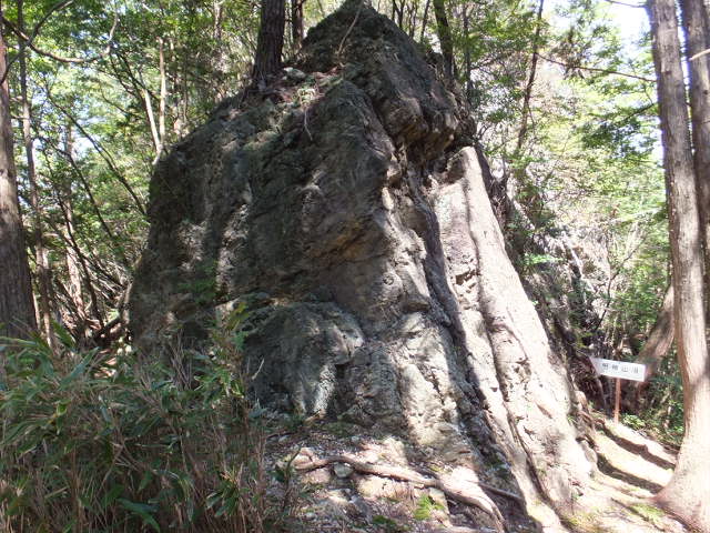 a0271502_848344.jpg