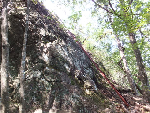 a0271502_852450.jpg