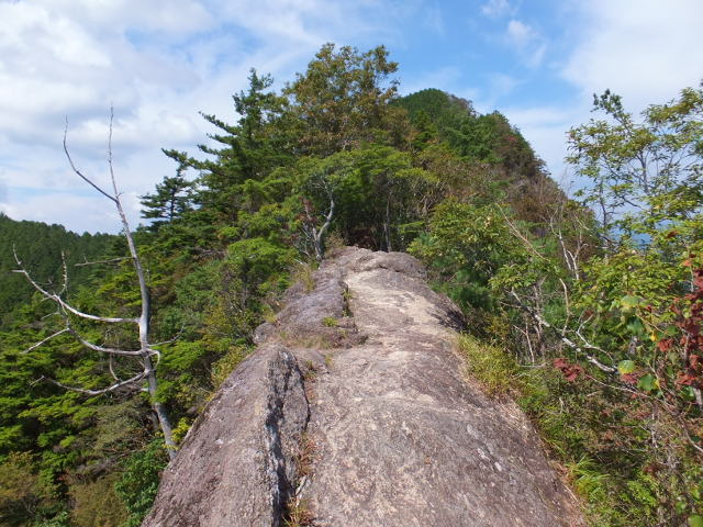 a0271502_8531681.jpg