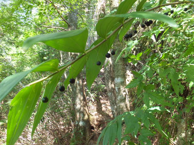a0271502_9315732.jpg