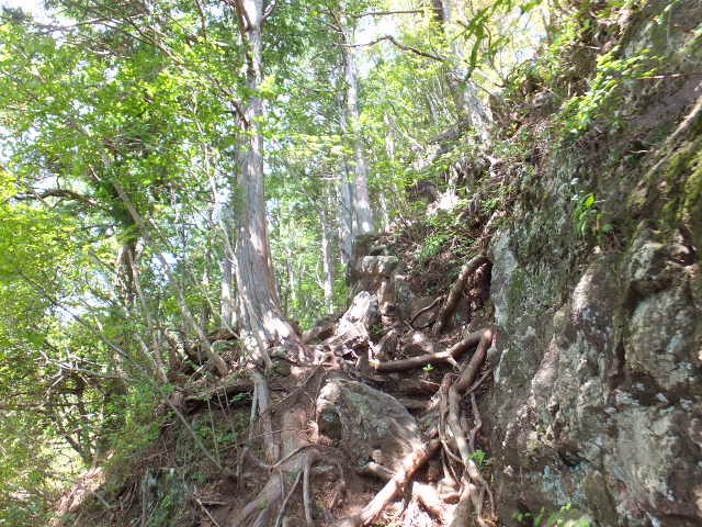 a0271502_935166.jpg