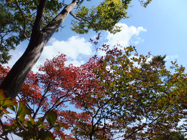 a0271502_936237.jpg