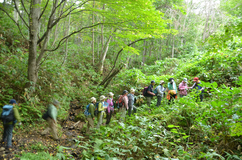 手稲山市民の森_c0171406_16355030.jpg