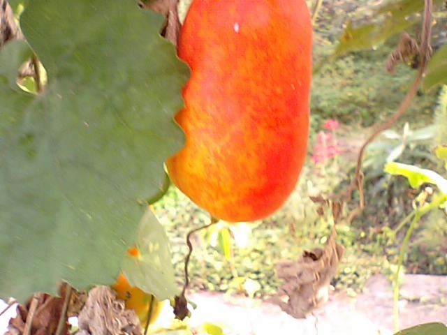f0231709_15443472.jpg