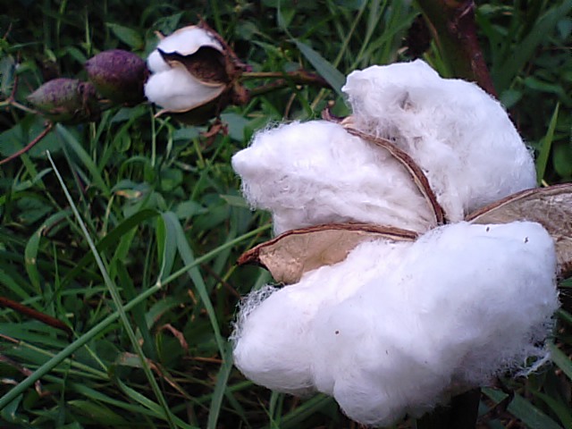 f0231709_1585712.jpg