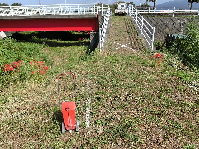 彼岸花ウォーク前日の準備と彼岸花満開の予感_f0141310_7271276.jpg