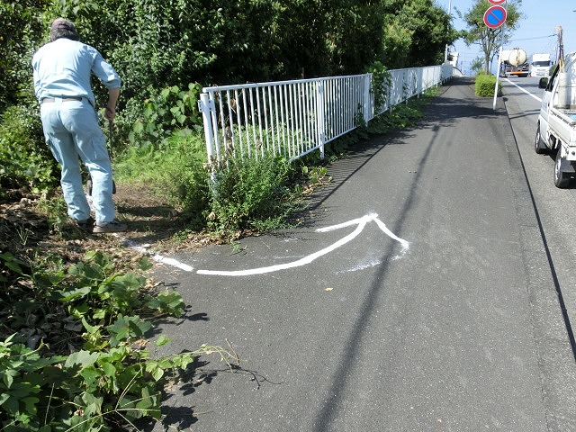 彼岸花ウォーク前日の準備と彼岸花満開の予感_f0141310_7273118.jpg