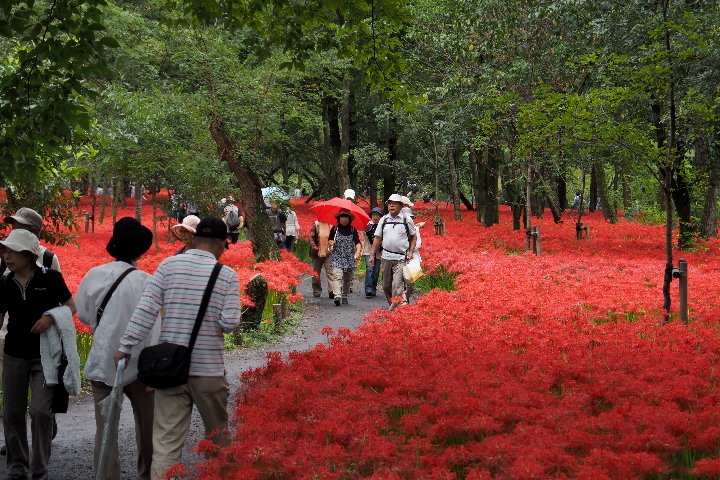 a0268412_21291371.jpg