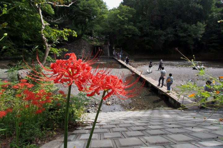 a0268412_2129444.jpg