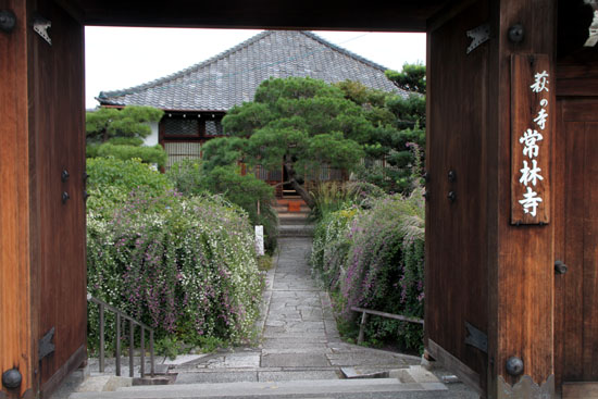 萩の寺 常林寺_e0048413_21225250.jpg
