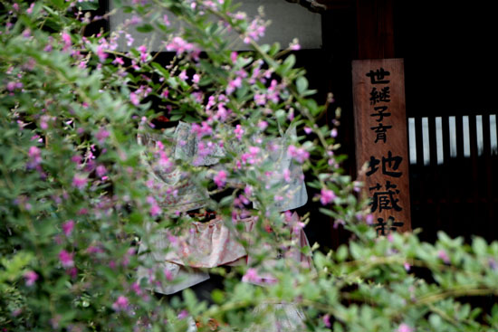 萩の寺 常林寺_e0048413_2124827.jpg