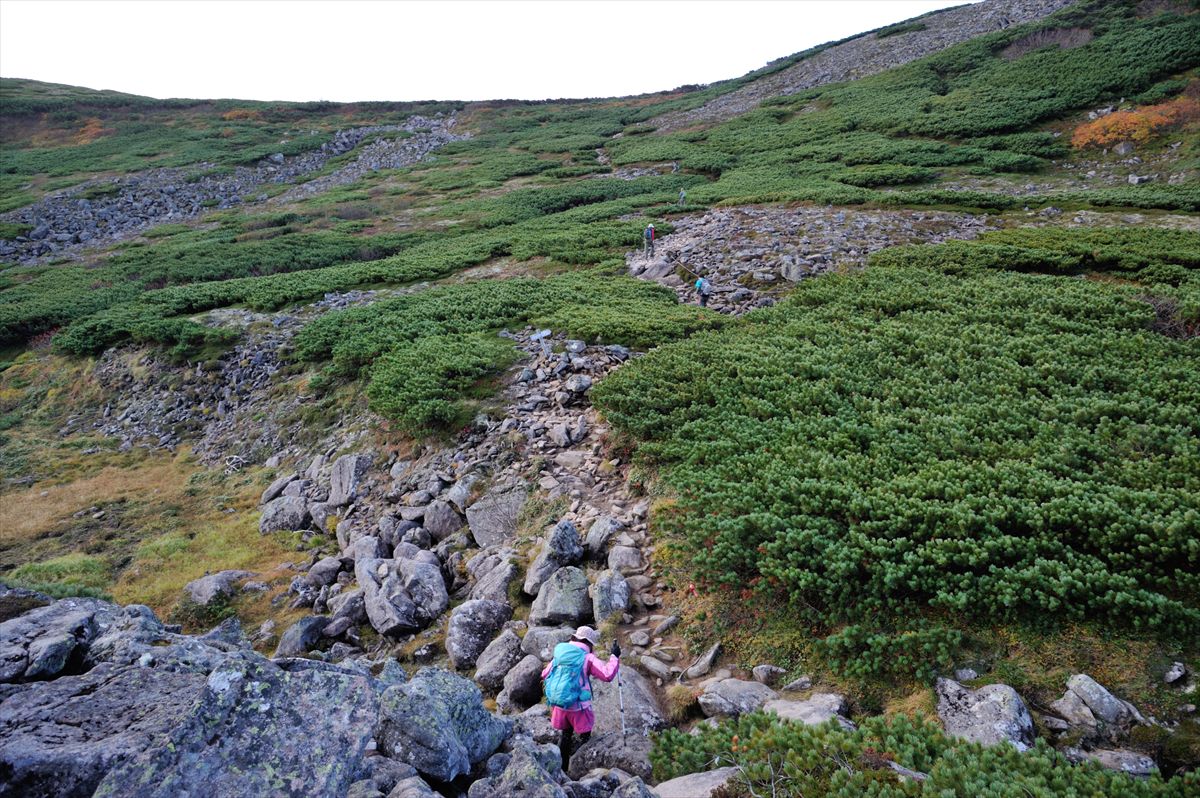 【標高年で大盛況】　ニペソツ山　2013.9.22_a0145819_15114121.jpg