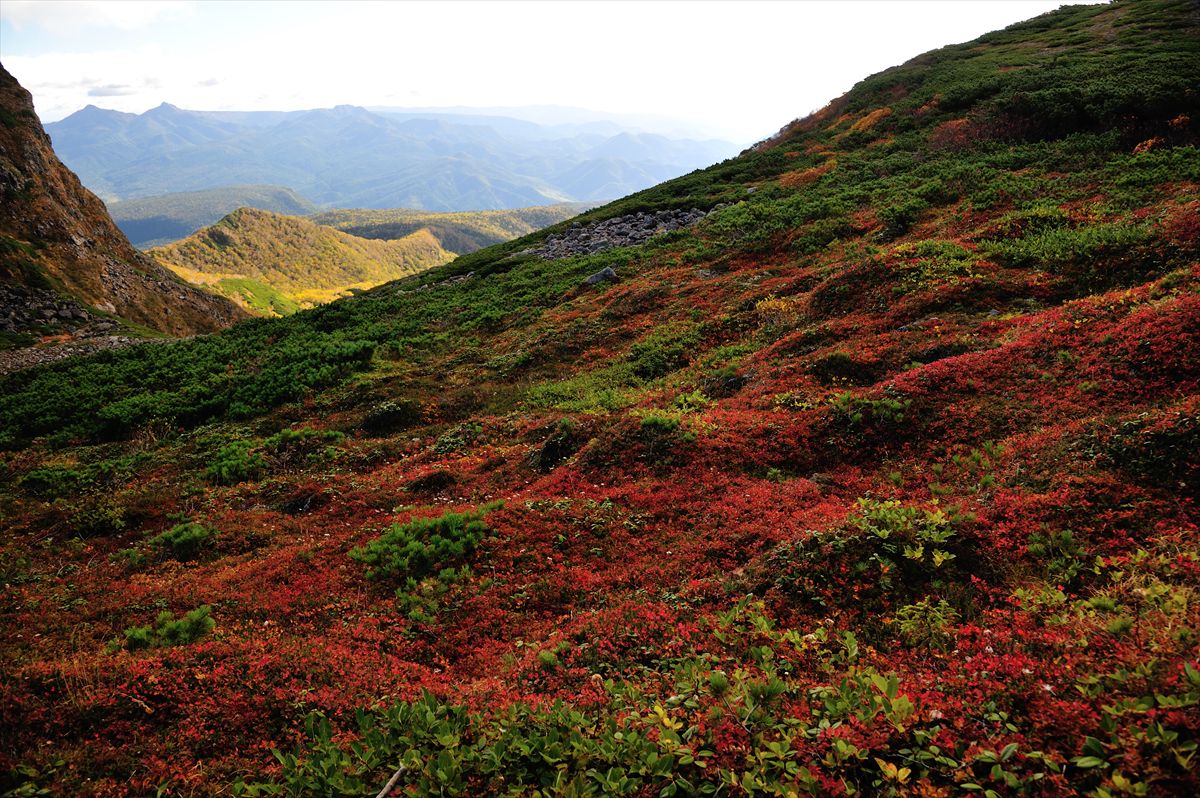 【標高年で大盛況】　ニペソツ山　2013.9.22_a0145819_15122798.jpg