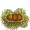 a0115924_21115967.gif