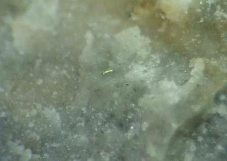 d0045626_21463288.jpg