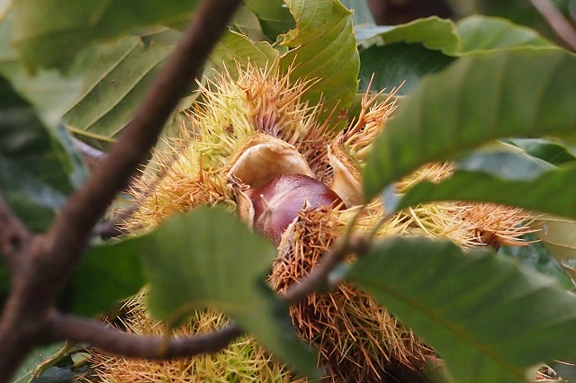 f0214527_10197.jpg